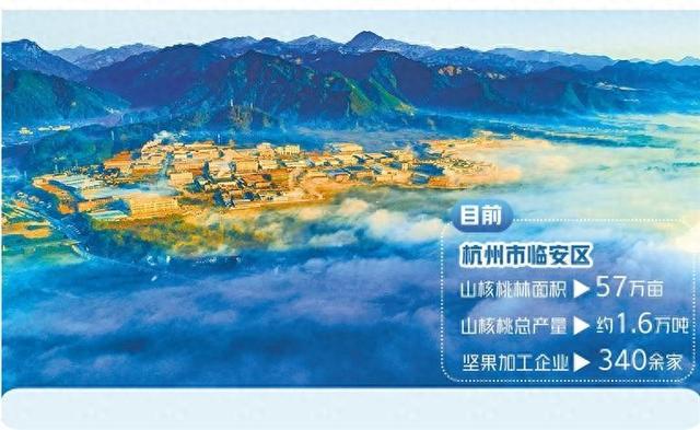 位于杭州市西部的临安区山高林密，种植山核桃自然条件得天独厚。（资料图片）